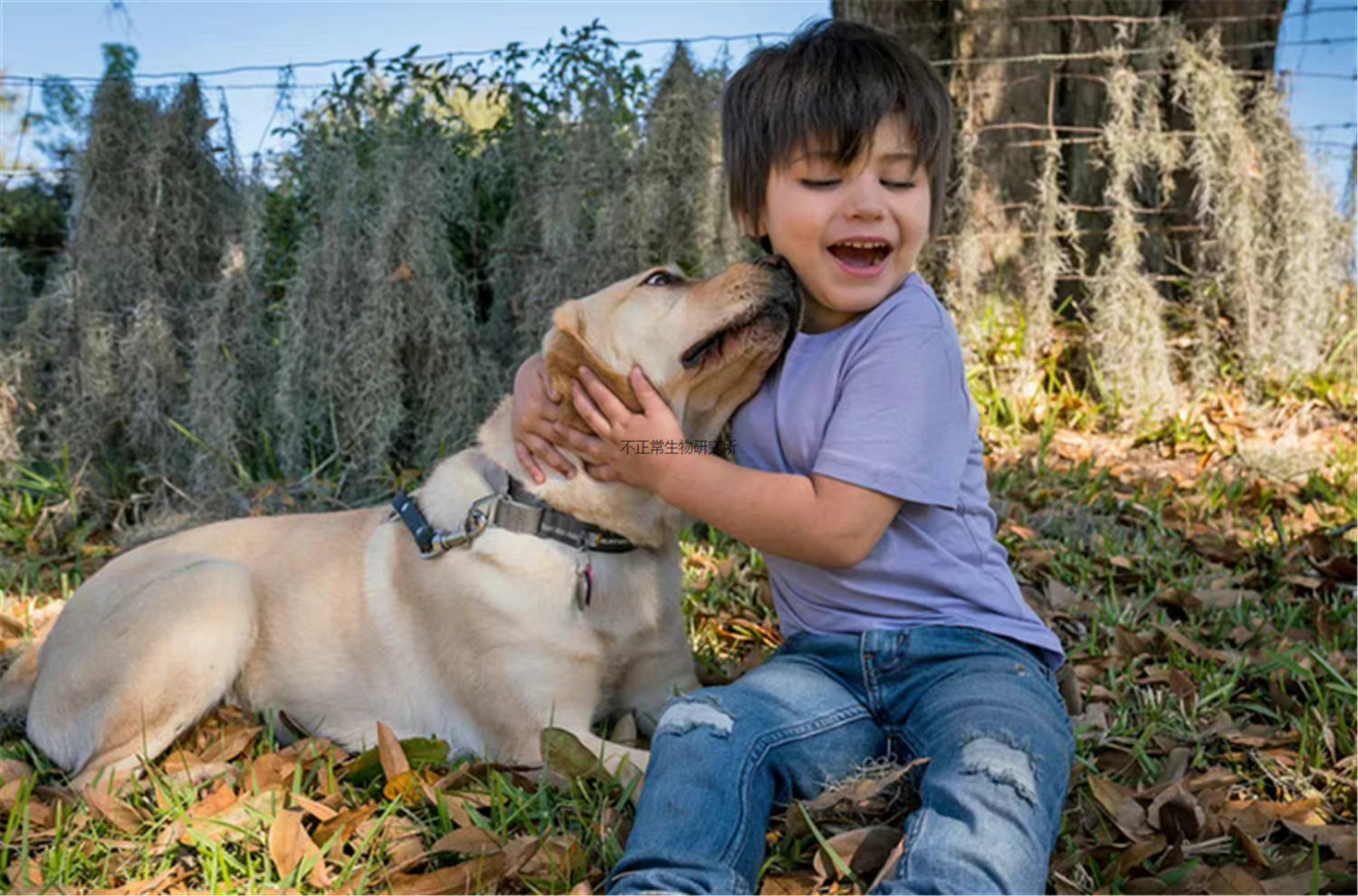 失明孤儿患有自闭症，所幸遇到了爱他的妈妈和汪星人-宠物乐园