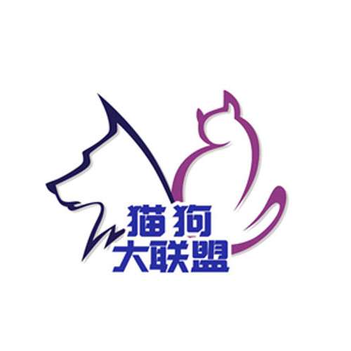 2023招募志愿者，加入上海猫狗大联盟一起保护城市流浪动物吧！-宠物乐园
